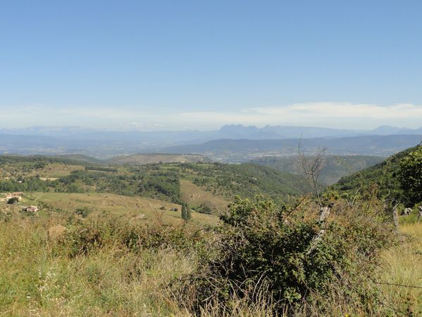 DSC01734