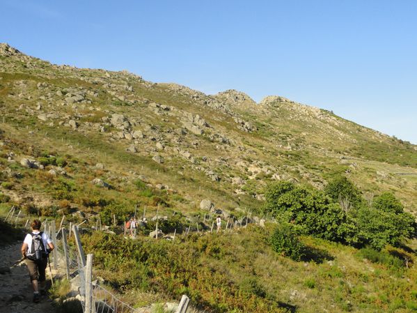 DSC01747