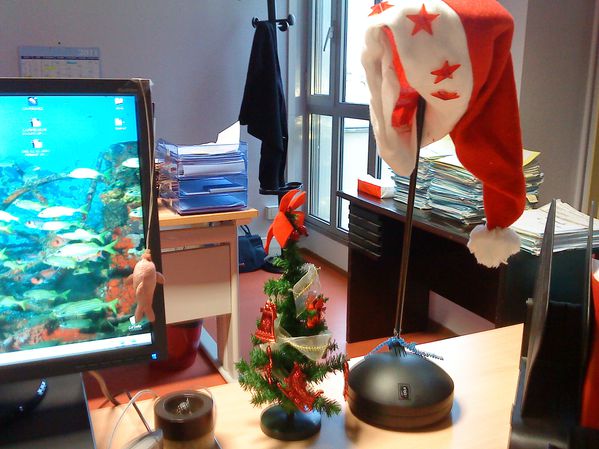 sapin en place