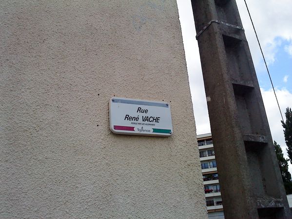 8-c'est vache