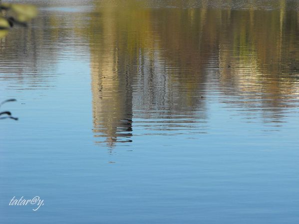 DSCF4055R.JPG