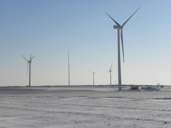 DSCN0979