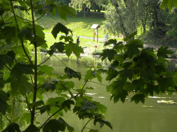 DSCN0157