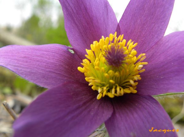 DSCN0320
