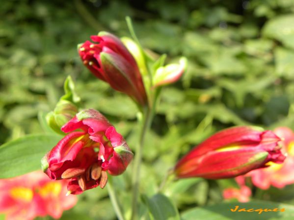 DSCN0391