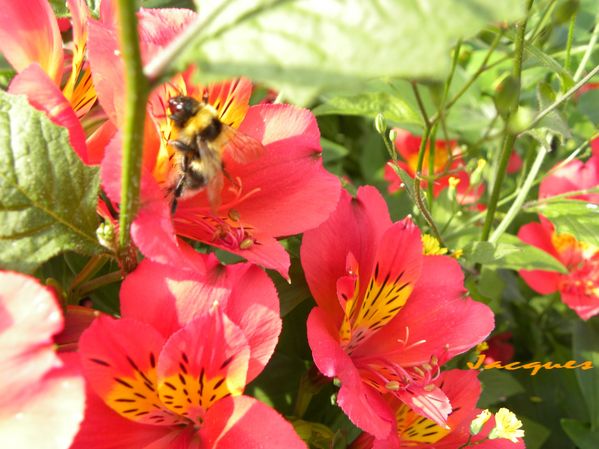 DSCN0393