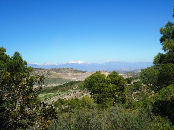 Foret--et-montagnes-JPG