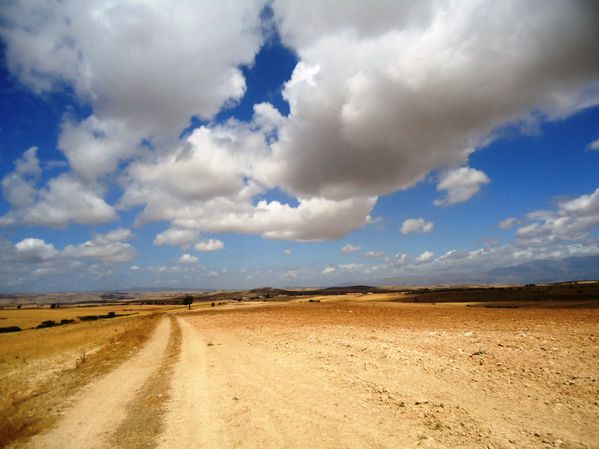 Un-sentier-et-des-nuages.N-3845.JPG