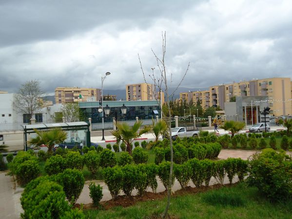 Une cité à Bouira.N°3241