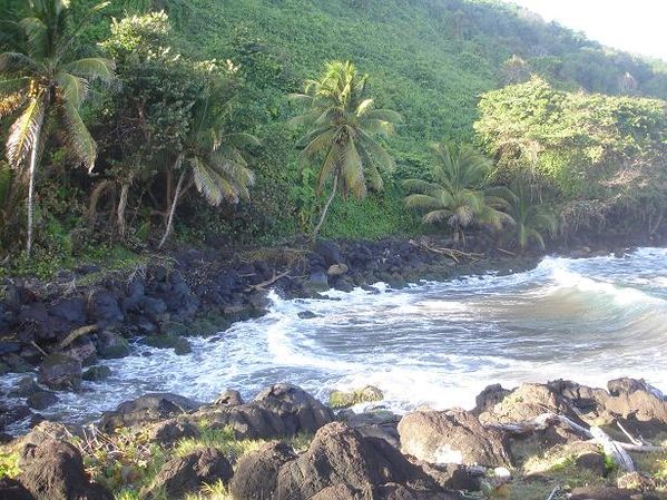 3 sentier grande pointe rochers plage cocotier