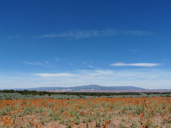 P1130709