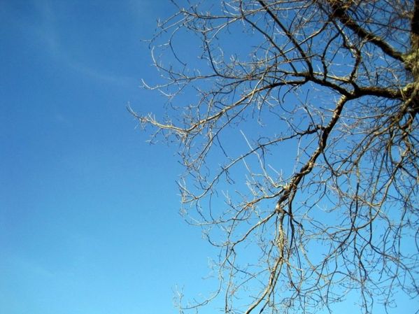 ciel 4 mars