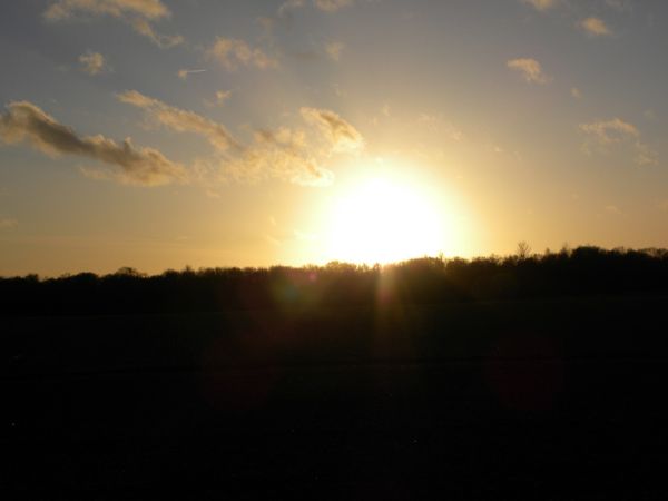 DSCN0788