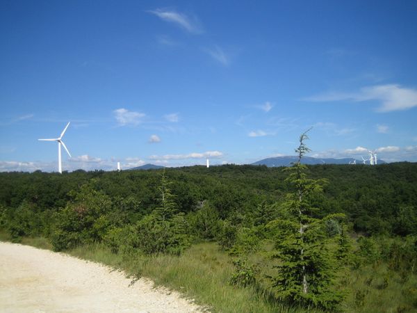 eoliennes-14-07-2014-2336.JPG