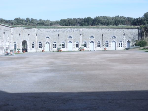 P1010845.JPG