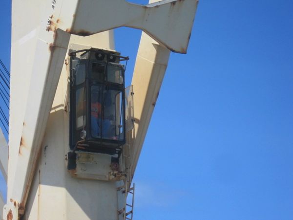 16jan2011 101