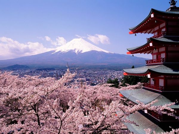 Sakura Fuji
