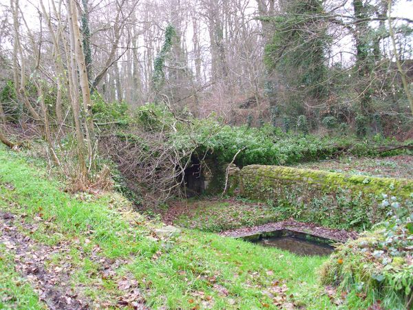 2011-01-GOLVEN-2.jpg