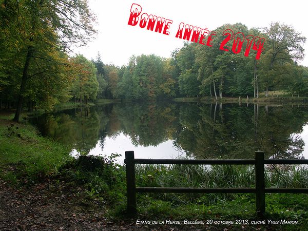 BELLEME Etang de la Herse 20 oct 2013 Réduit