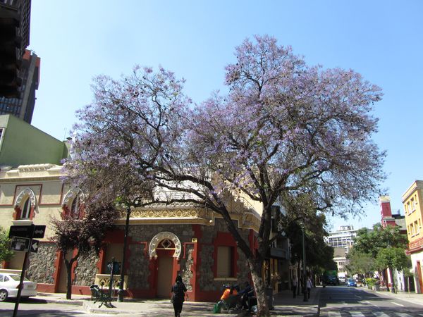 santiago-jour-2 5142