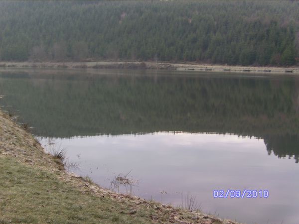ann2010-1 127