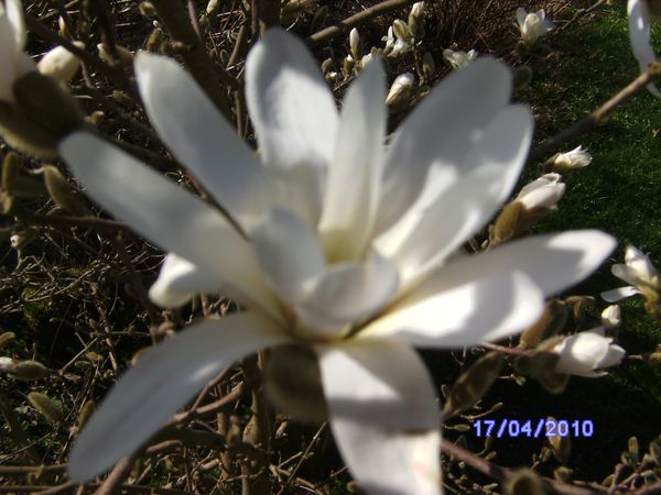 BILD2349