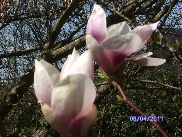 BILD2900