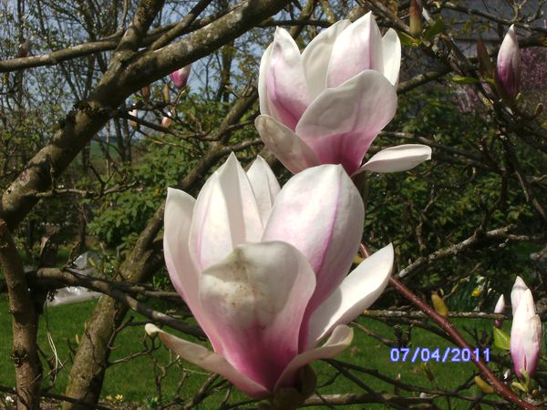BILD2903