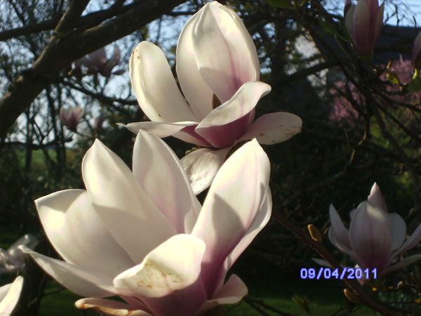 BILD2904