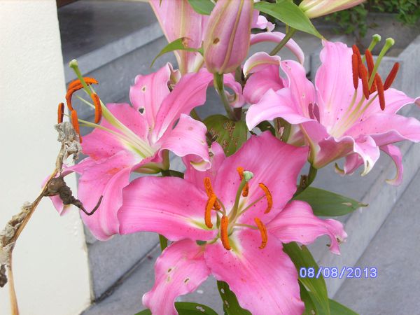 BILD3259.JPG