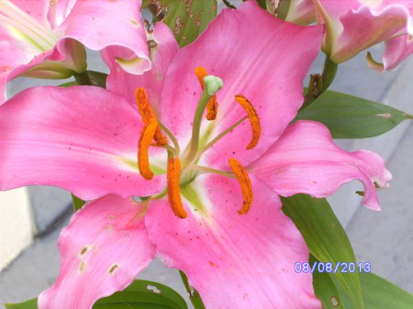 BILD3260.JPG