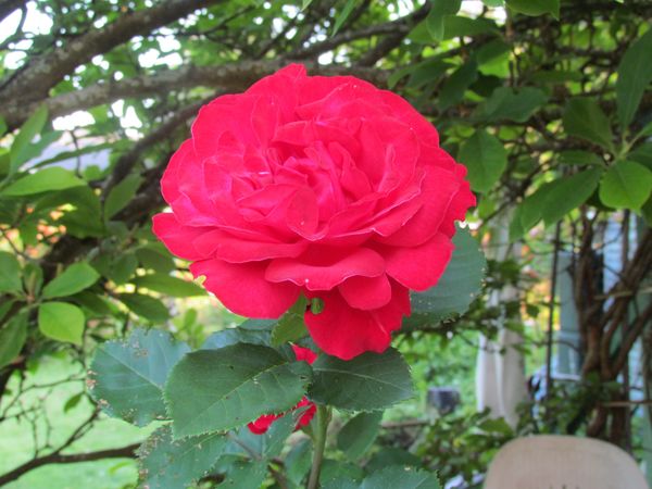 Juillet-2013-4471.JPG
