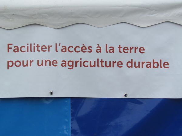 Juillet-2013-4706.JPG