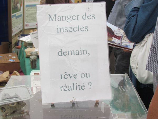 Juillet-2013-4707.JPG