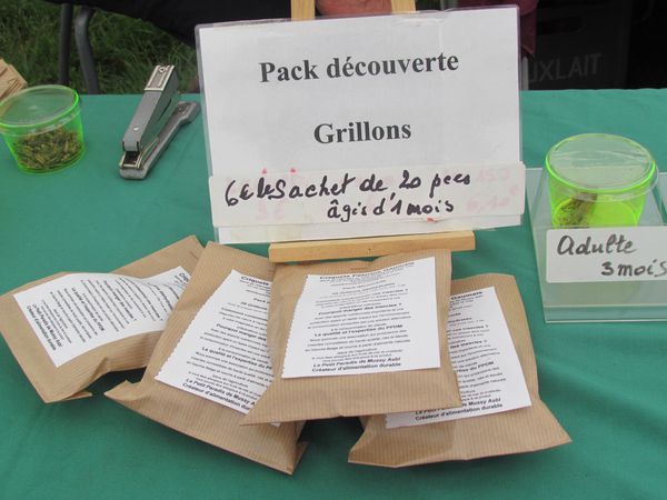Juillet-2013-4708.JPG