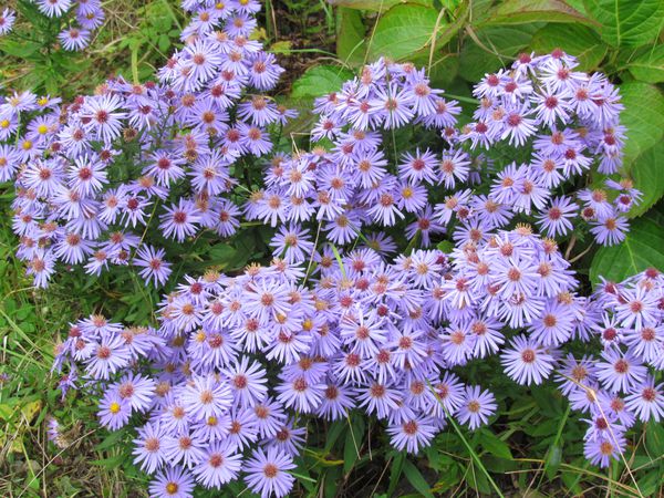 2011-10-005.jpg