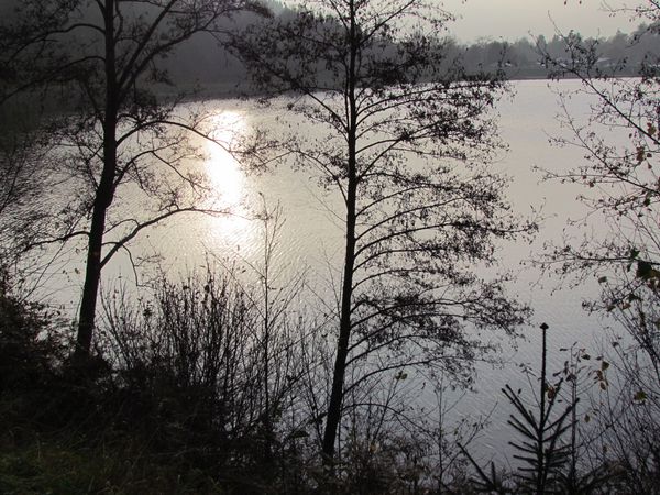 2011-11-018.jpg