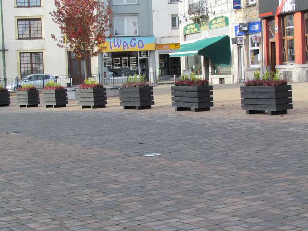 2011-11-180.jpg