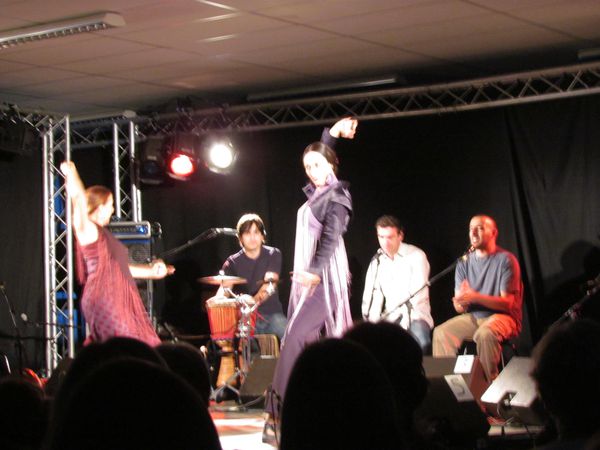 juin-2012-1425-copie-1.JPG
