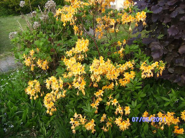 BILD2934