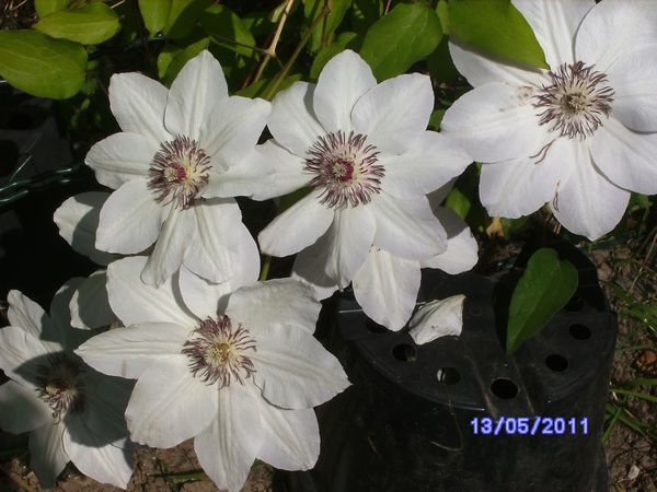 BILD2941.JPG