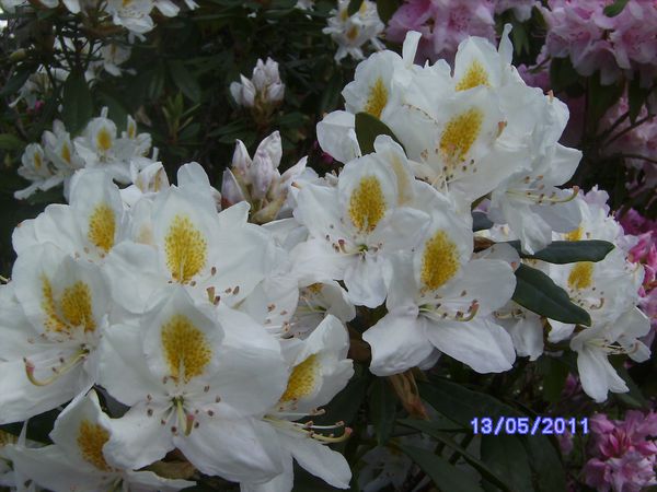 BILD2943