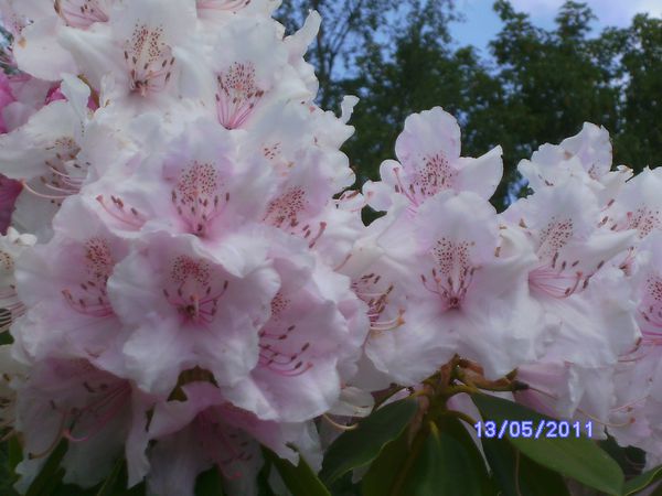 BILD2944