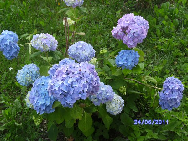 BILD2971