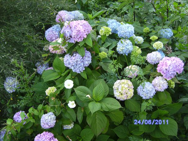 BILD2972.JPG