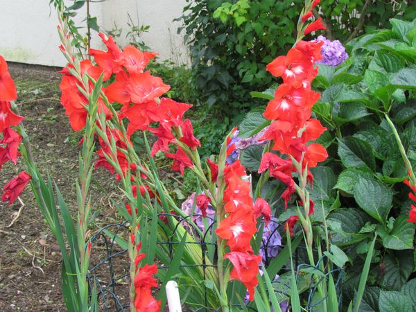 2011-9-009.jpg