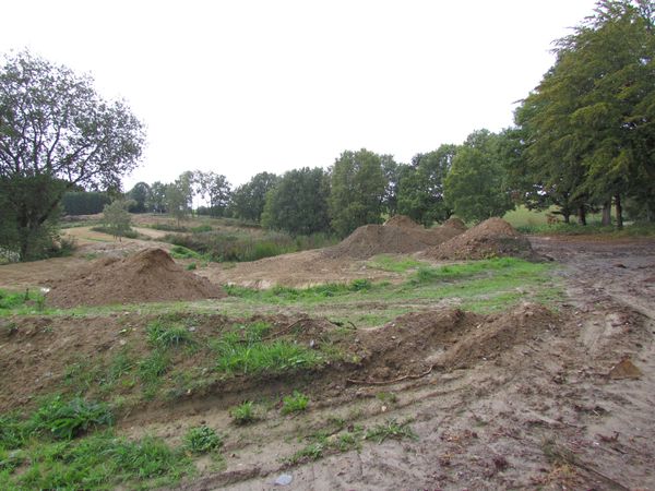2011-9-018.jpg