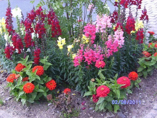 BILD3034