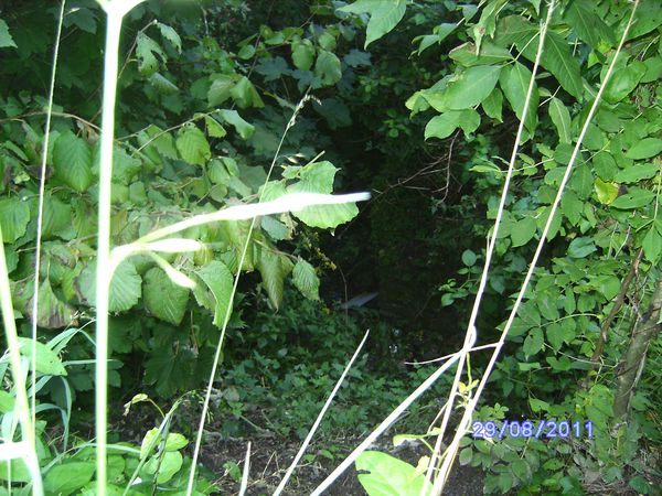 BILD3085
