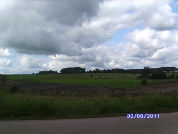 BILD3088.JPG